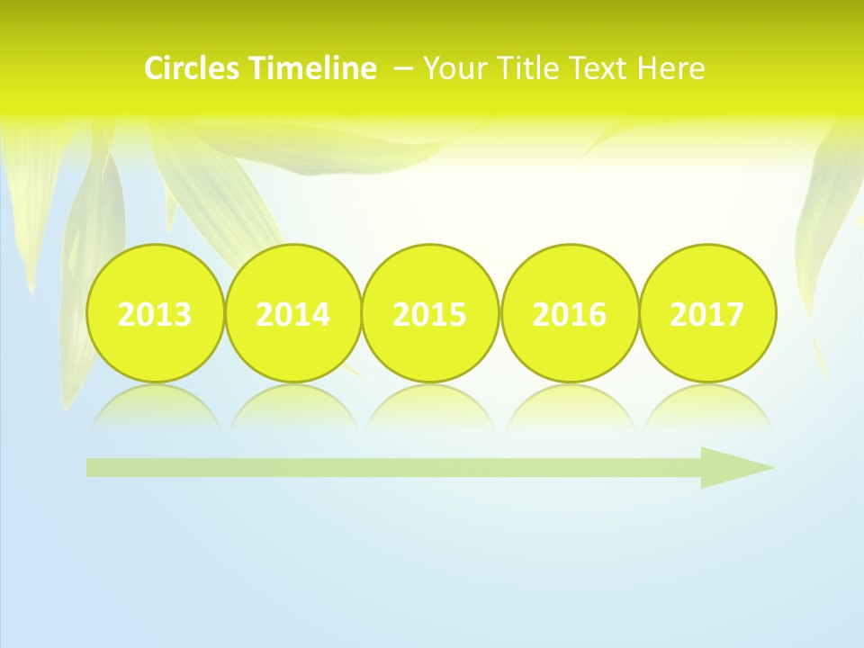 Zen Light Summer PowerPoint Template