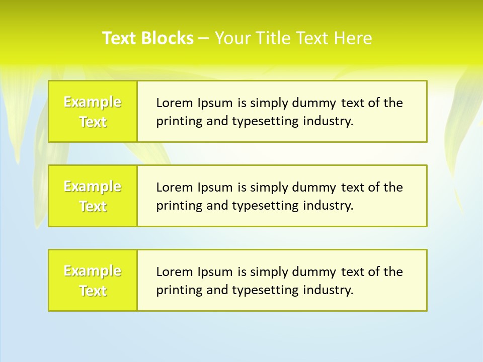 Zen Light Summer PowerPoint Template