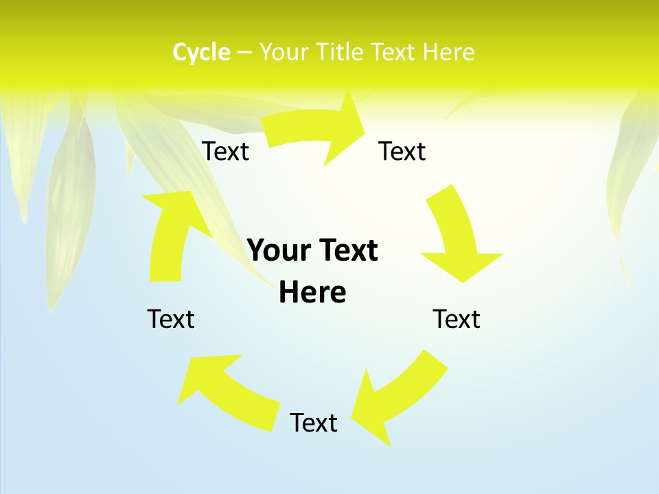 Zen Light Summer PowerPoint Template