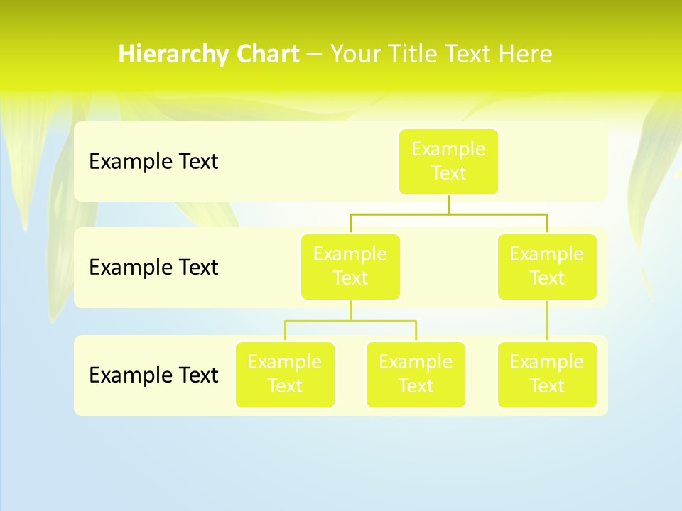 Zen Light Summer PowerPoint Template