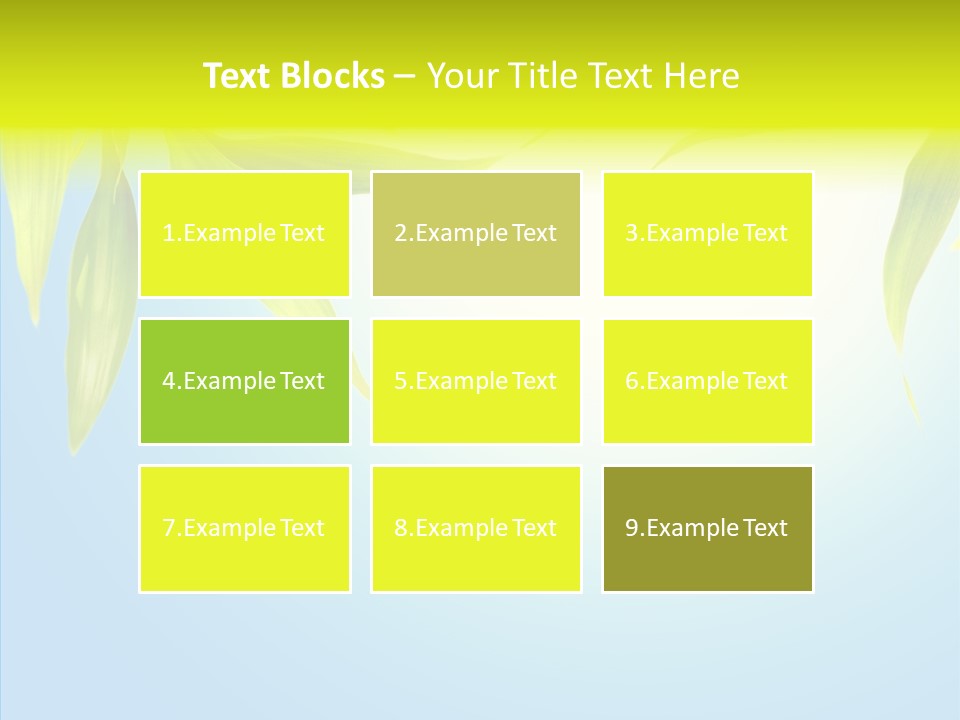 Zen Light Summer PowerPoint Template