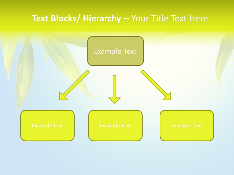 Zen Light Summer PowerPoint Template