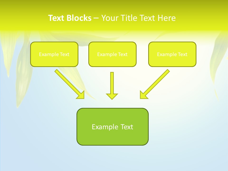 Zen Light Summer PowerPoint Template
