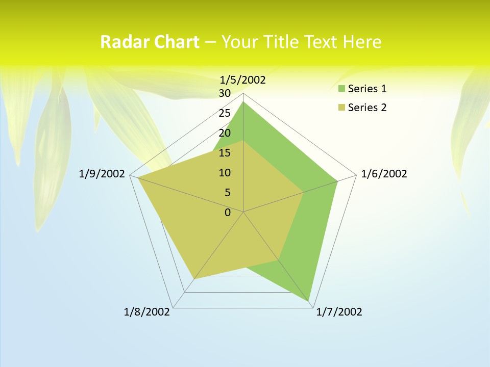 Zen Light Summer PowerPoint Template