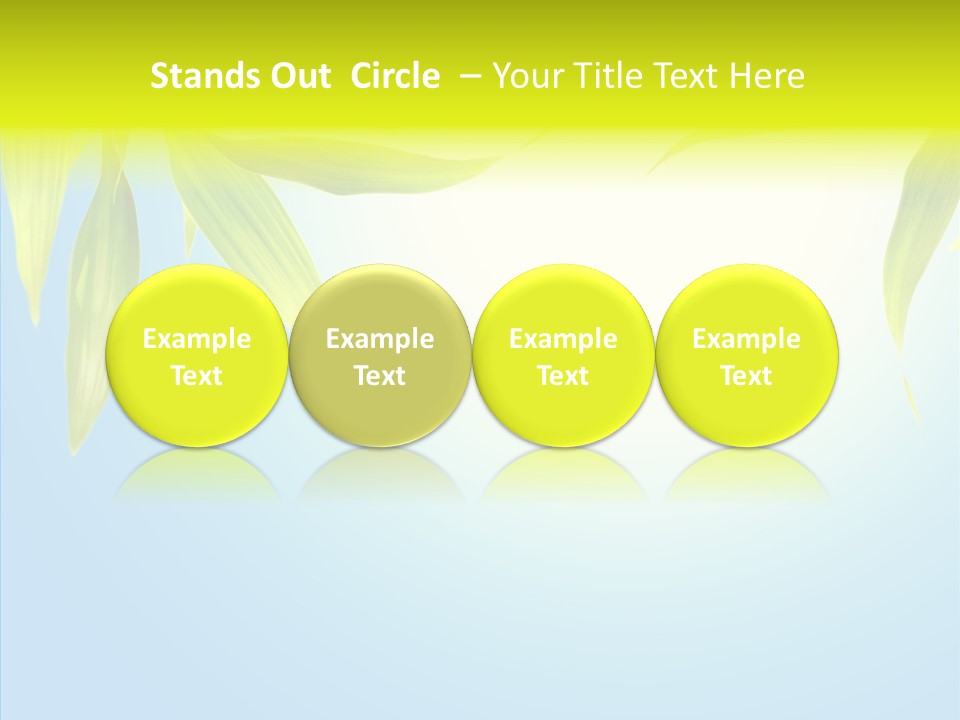 Zen Light Summer PowerPoint Template