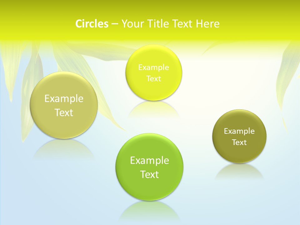 Zen Light Summer PowerPoint Template