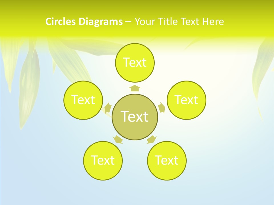 Zen Light Summer PowerPoint Template