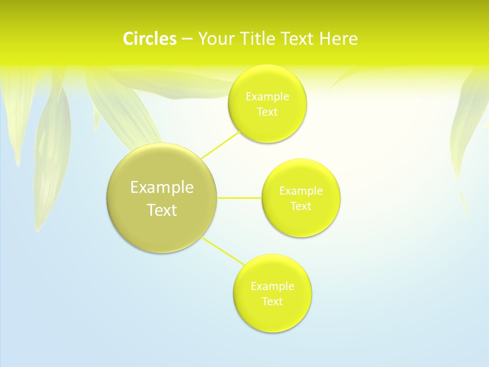 Zen Light Summer PowerPoint Template