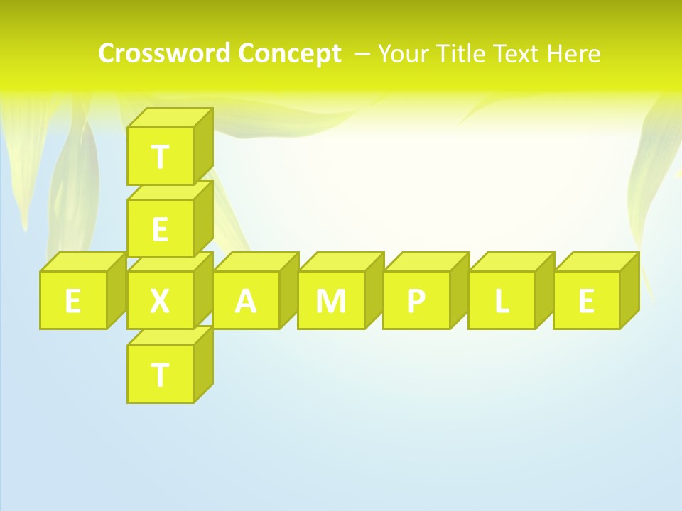 Zen Light Summer PowerPoint Template