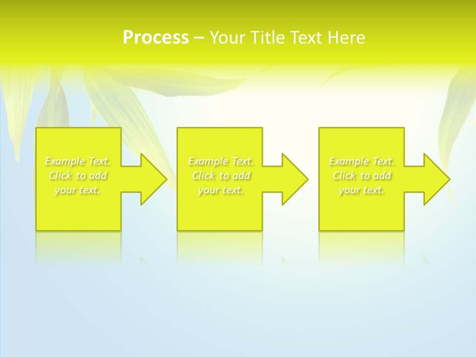 Zen Light Summer PowerPoint Template