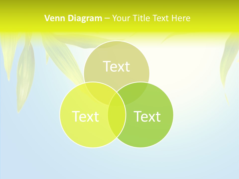 Zen Light Summer PowerPoint Template