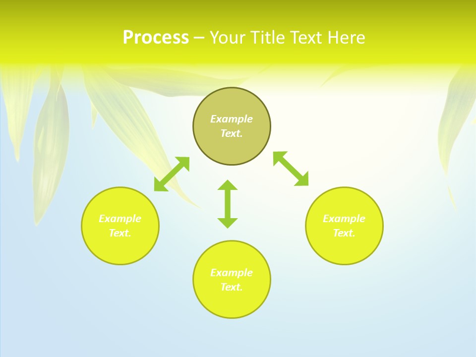 Zen Light Summer PowerPoint Template