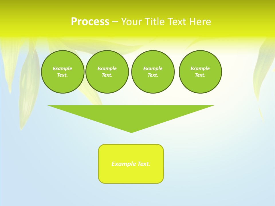 Zen Light Summer PowerPoint Template