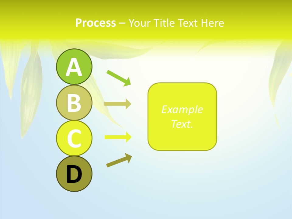 Zen Light Summer PowerPoint Template