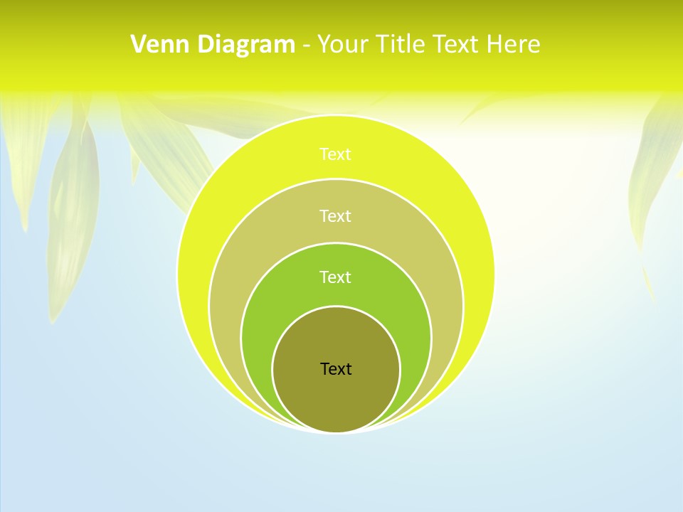 Zen Light Summer PowerPoint Template