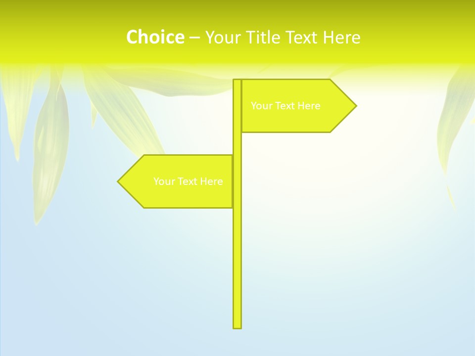 Zen Light Summer PowerPoint Template