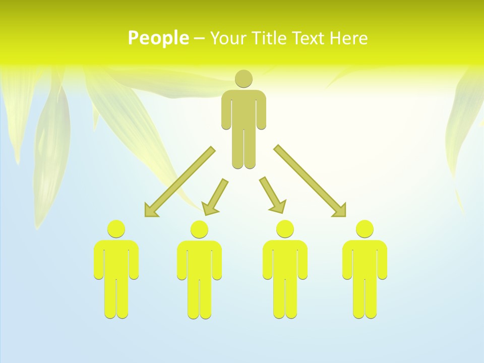 Zen Light Summer PowerPoint Template