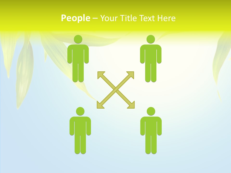 Zen Light Summer PowerPoint Template