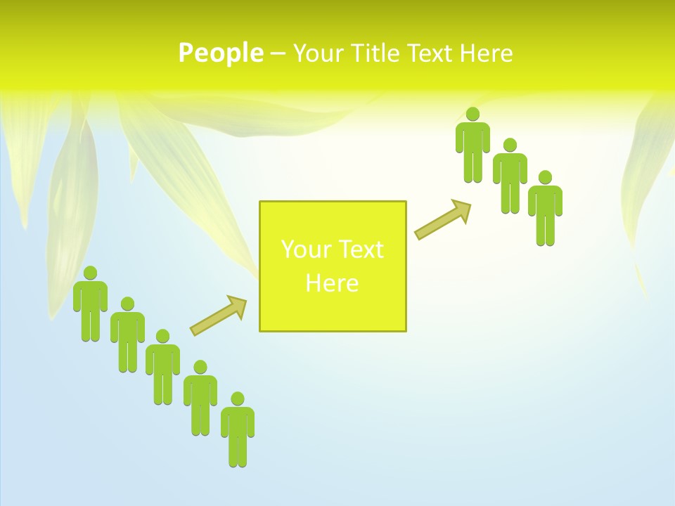 Zen Light Summer PowerPoint Template