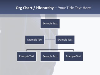 Torsos Buttocks Women PowerPoint Template