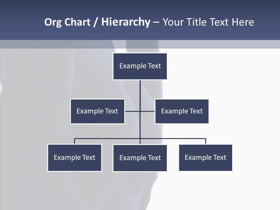 Torsos Buttocks Women PowerPoint Template