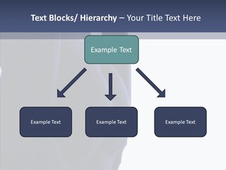 Torsos Buttocks Women PowerPoint Template