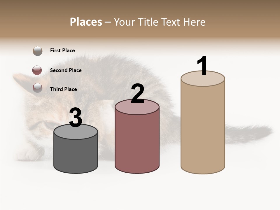 Sweet Feline Domestic PowerPoint Template