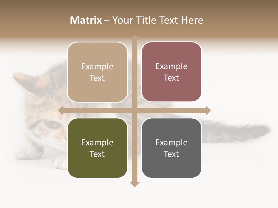 Sweet Feline Domestic PowerPoint Template