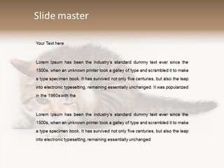 Sweet Feline Domestic PowerPoint Template