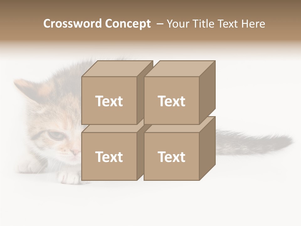 Sweet Feline Domestic PowerPoint Template