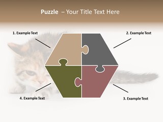 Sweet Feline Domestic PowerPoint Template