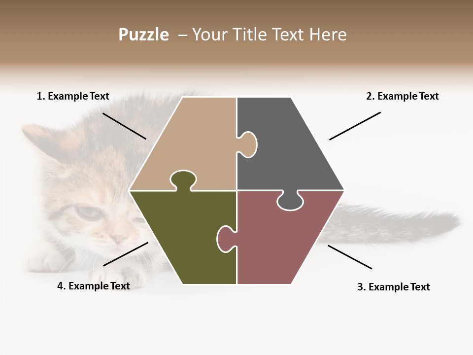 Sweet Feline Domestic PowerPoint Template