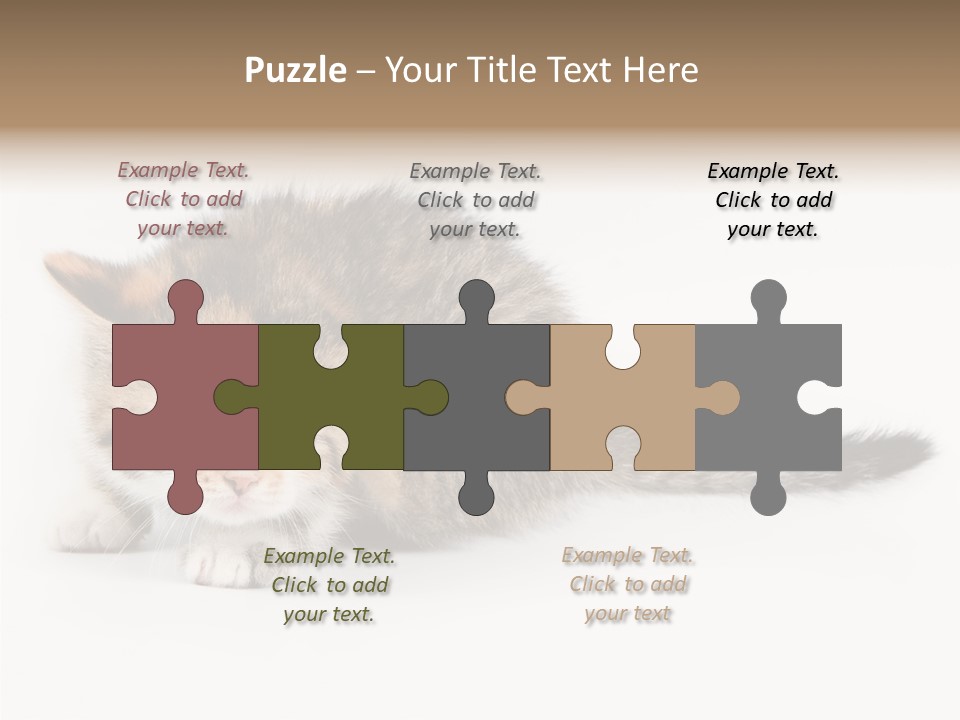 Sweet Feline Domestic PowerPoint Template