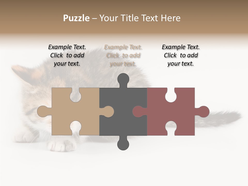 Sweet Feline Domestic PowerPoint Template