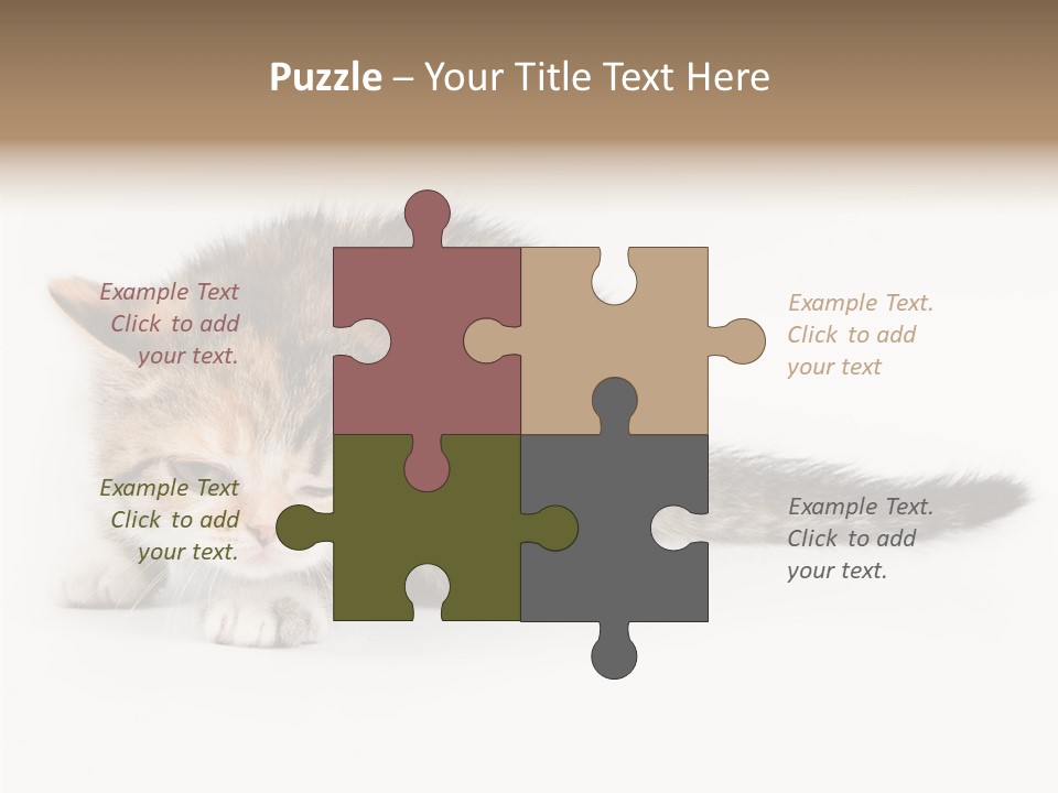 Sweet Feline Domestic PowerPoint Template