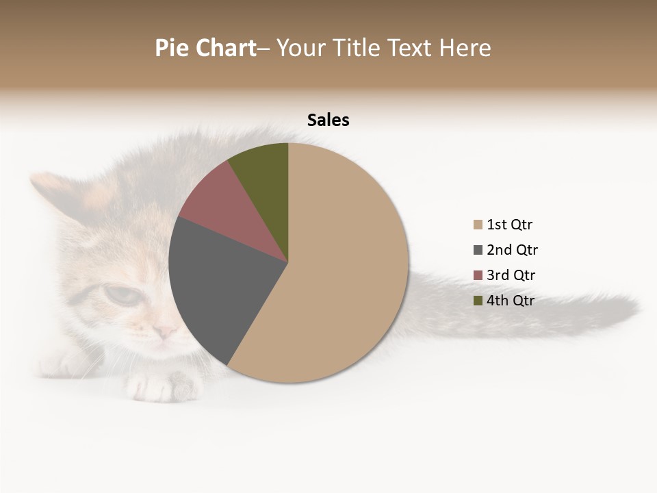 Sweet Feline Domestic PowerPoint Template