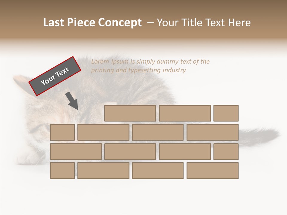 Sweet Feline Domestic PowerPoint Template