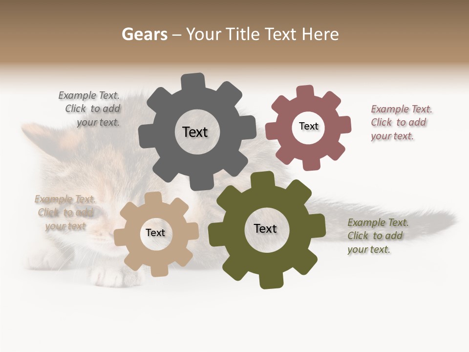 Sweet Feline Domestic PowerPoint Template