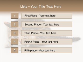Sweet Feline Domestic PowerPoint Template