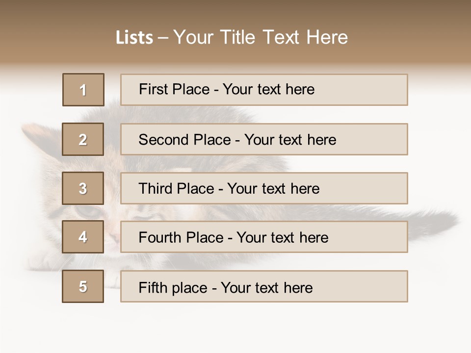 Sweet Feline Domestic PowerPoint Template