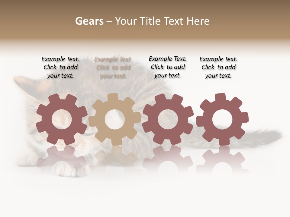 Sweet Feline Domestic PowerPoint Template