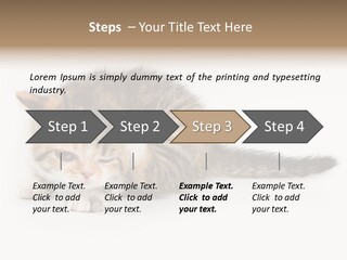 Sweet Feline Domestic PowerPoint Template