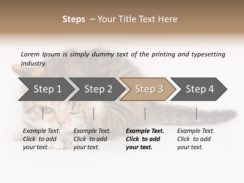 Sweet Feline Domestic PowerPoint Template