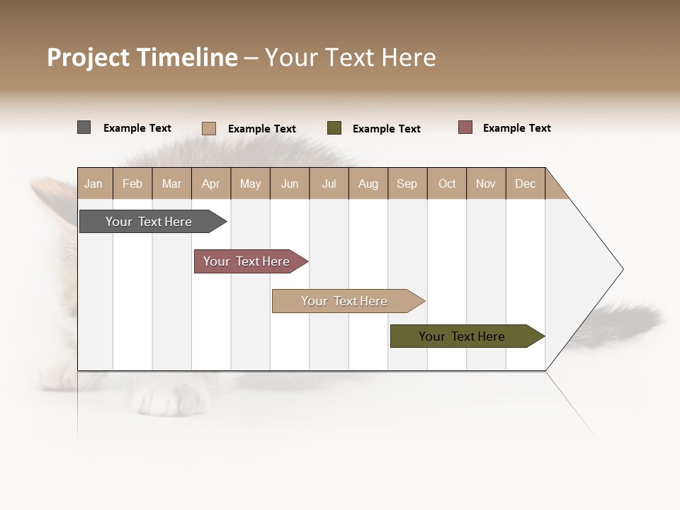 Sweet Feline Domestic PowerPoint Template