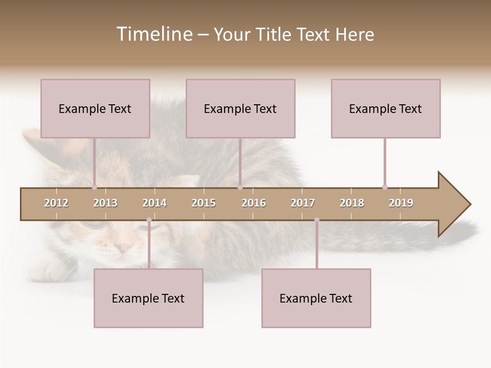Sweet Feline Domestic PowerPoint Template