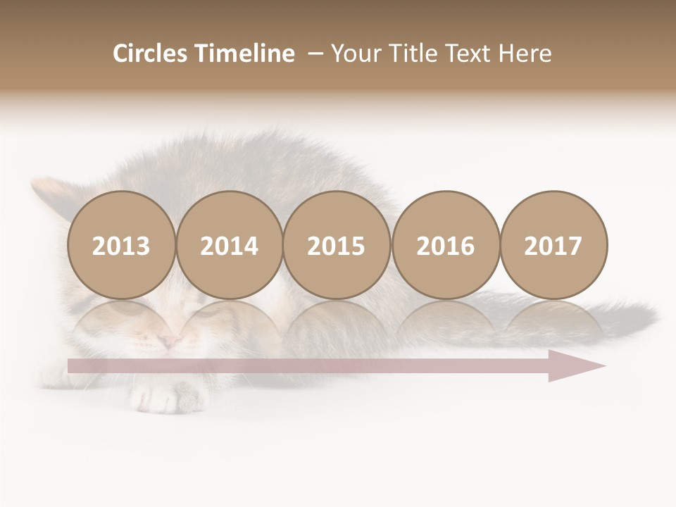 Sweet Feline Domestic PowerPoint Template