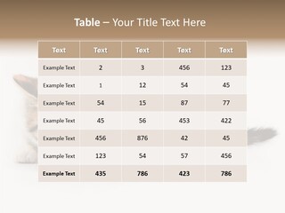 Sweet Feline Domestic PowerPoint Template