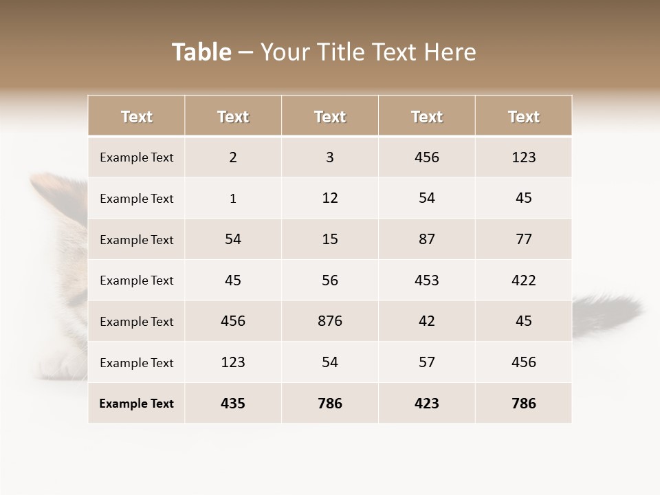 Sweet Feline Domestic PowerPoint Template