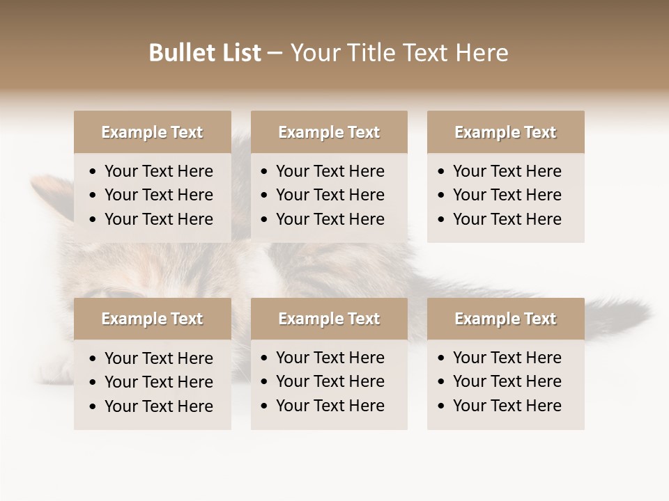 Sweet Feline Domestic PowerPoint Template