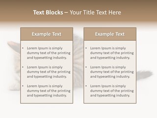 Sweet Feline Domestic PowerPoint Template